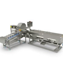 Оборудование для переработки лососевых NAG-601